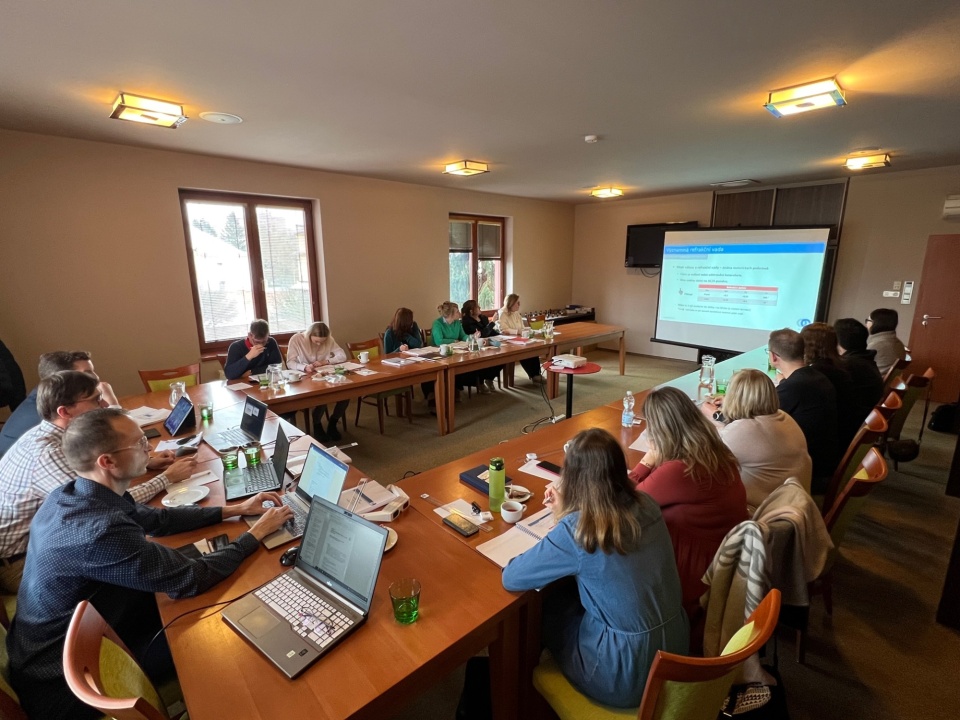 Binokulární vidění III